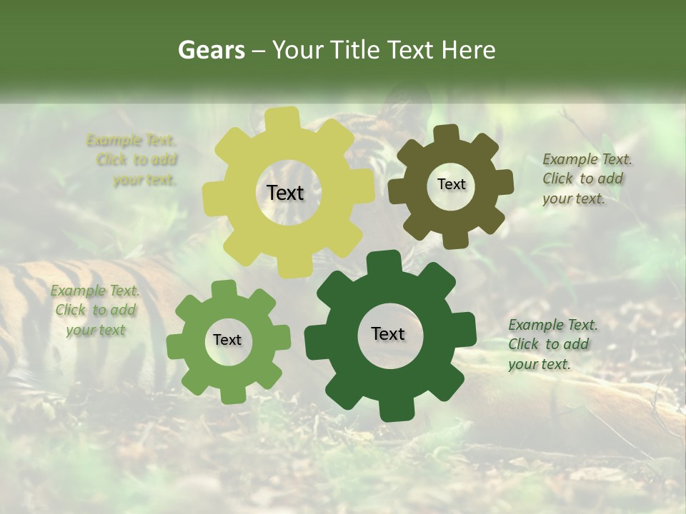 Outdoor Closeup Front PowerPoint Template