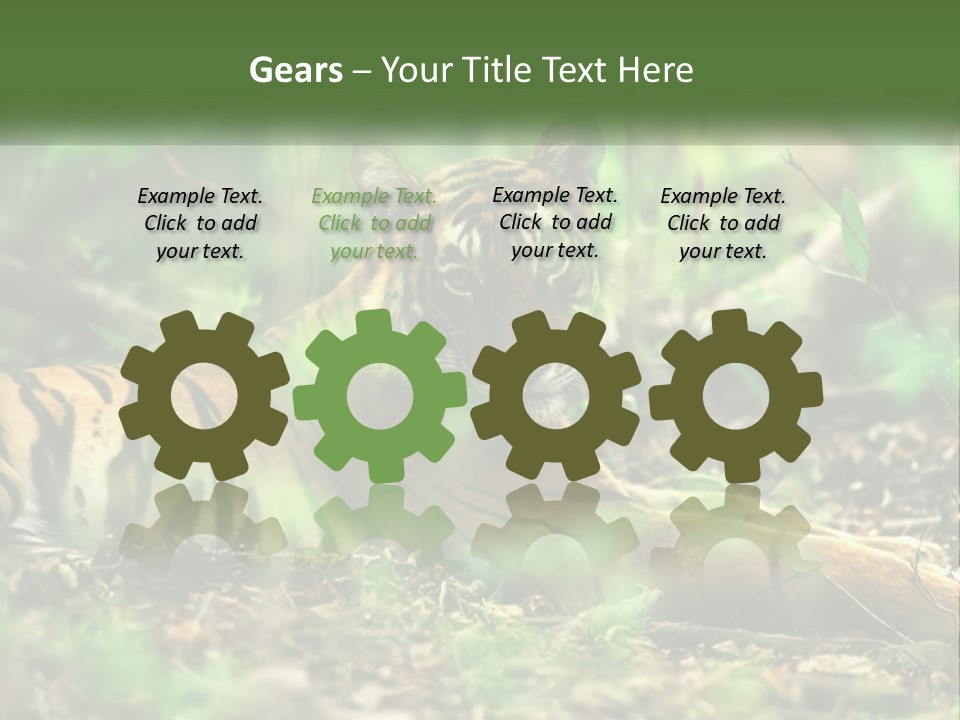 Outdoor Closeup Front PowerPoint Template