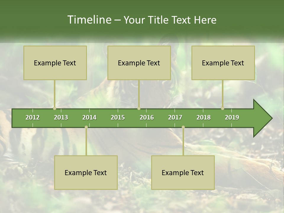 Outdoor Closeup Front PowerPoint Template
