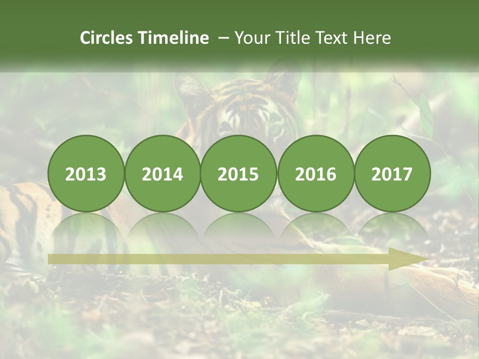 Outdoor Closeup Front PowerPoint Template