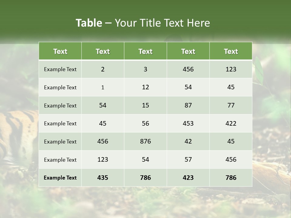 Outdoor Closeup Front PowerPoint Template
