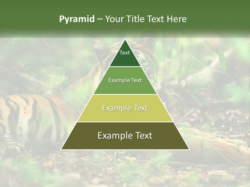 Outdoor Closeup Front PowerPoint Template