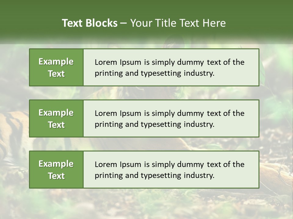 Outdoor Closeup Front PowerPoint Template