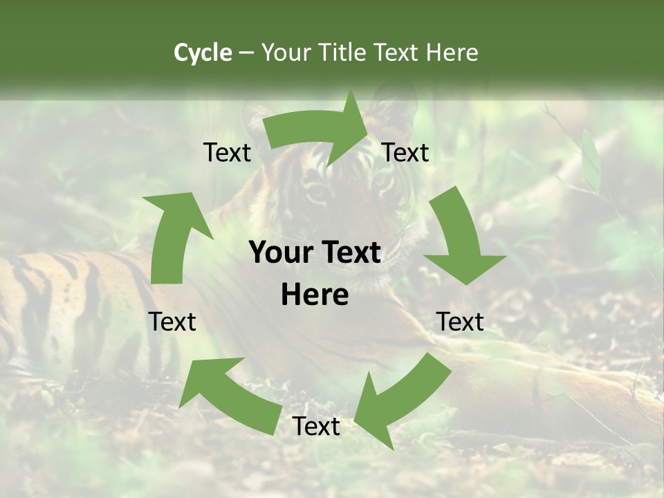 Outdoor Closeup Front PowerPoint Template