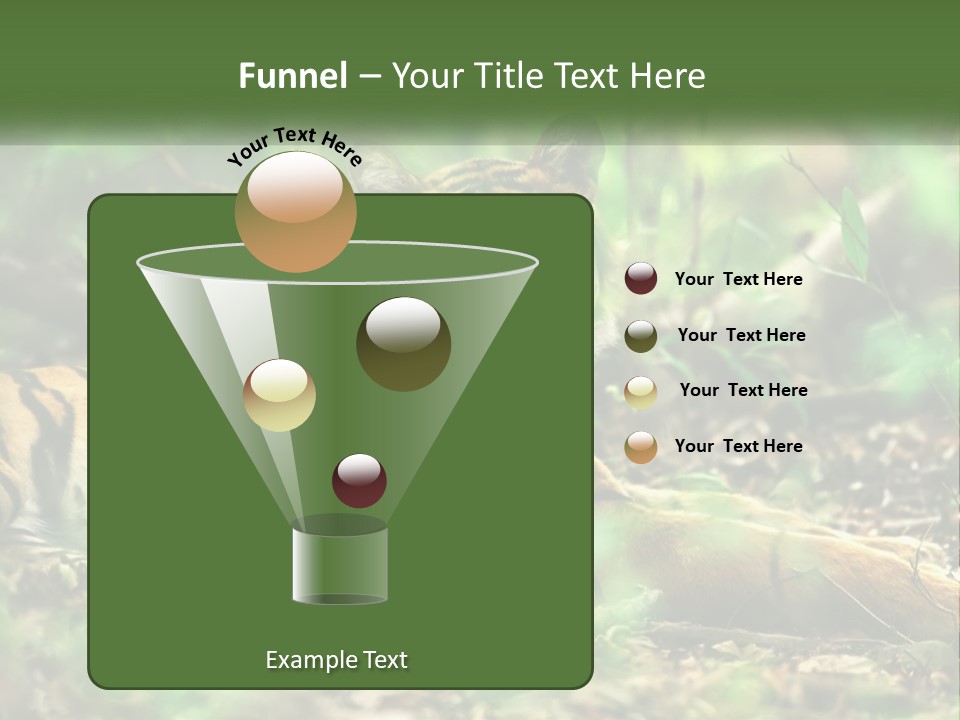 Outdoor Closeup Front PowerPoint Template