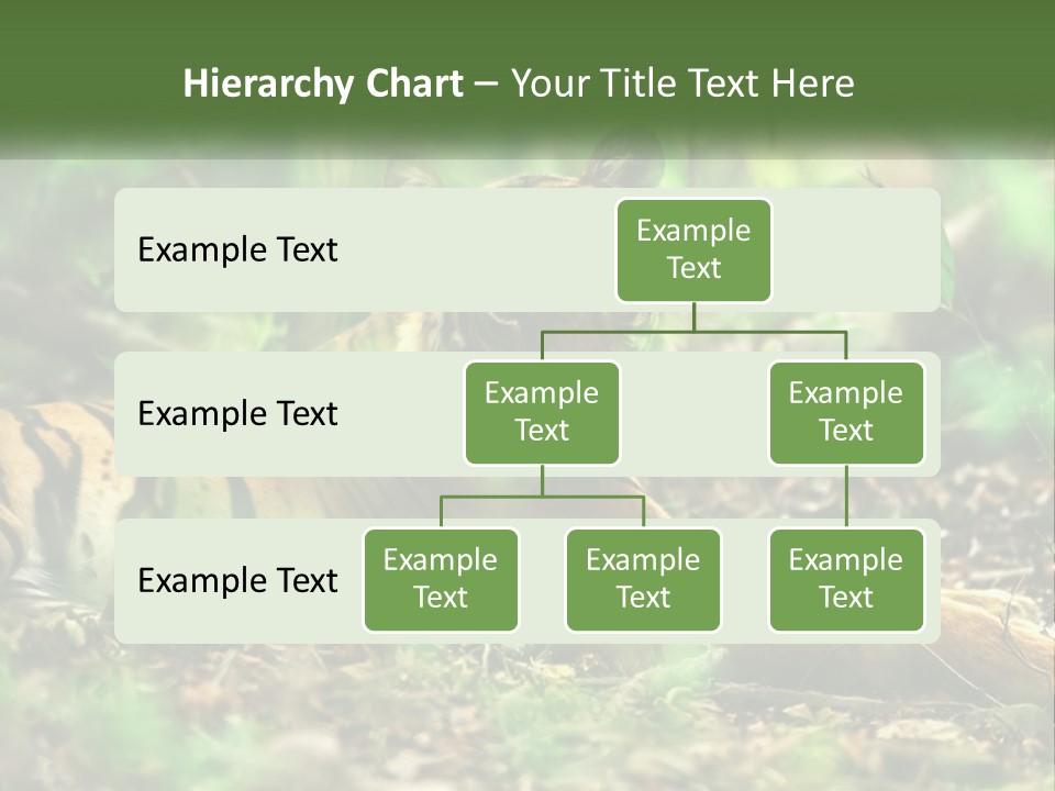 Outdoor Closeup Front PowerPoint Template