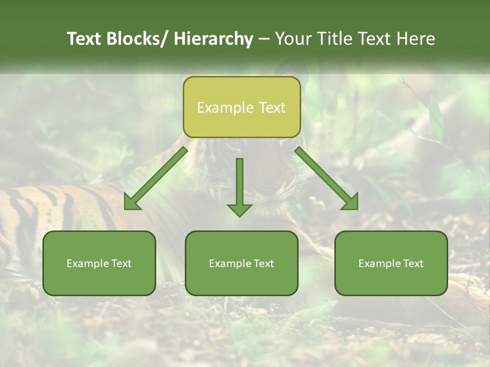 Outdoor Closeup Front PowerPoint Template