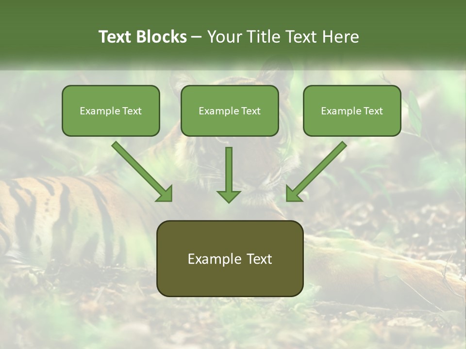 Outdoor Closeup Front PowerPoint Template