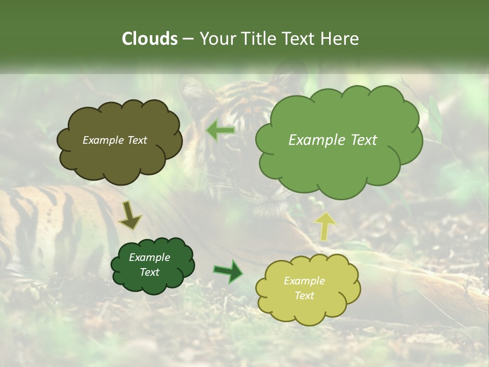 Outdoor Closeup Front PowerPoint Template