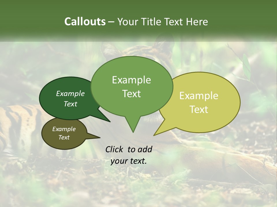 Outdoor Closeup Front PowerPoint Template