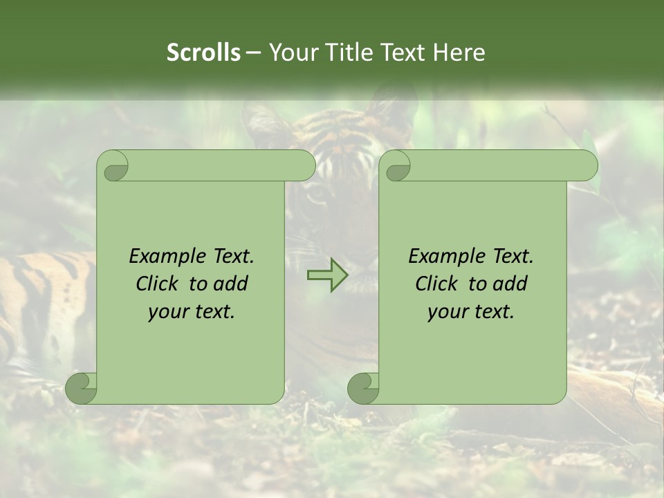 Outdoor Closeup Front PowerPoint Template