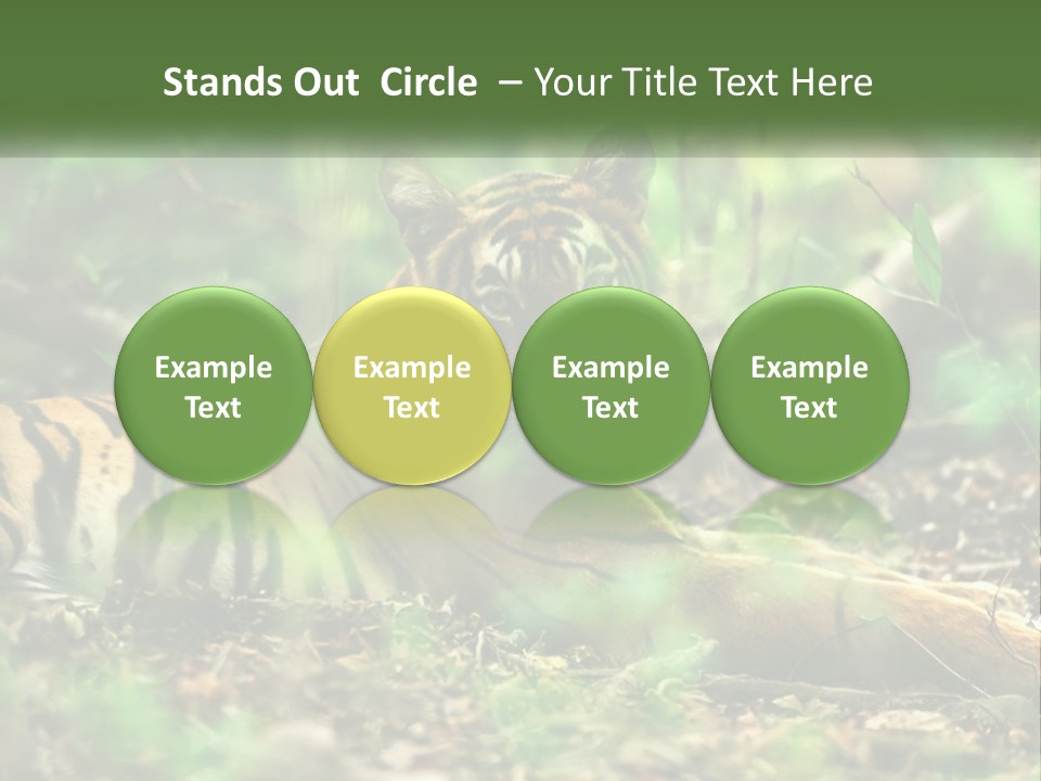 Outdoor Closeup Front PowerPoint Template