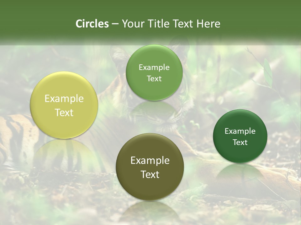 Outdoor Closeup Front PowerPoint Template