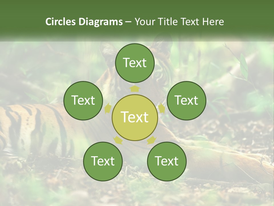 Outdoor Closeup Front PowerPoint Template