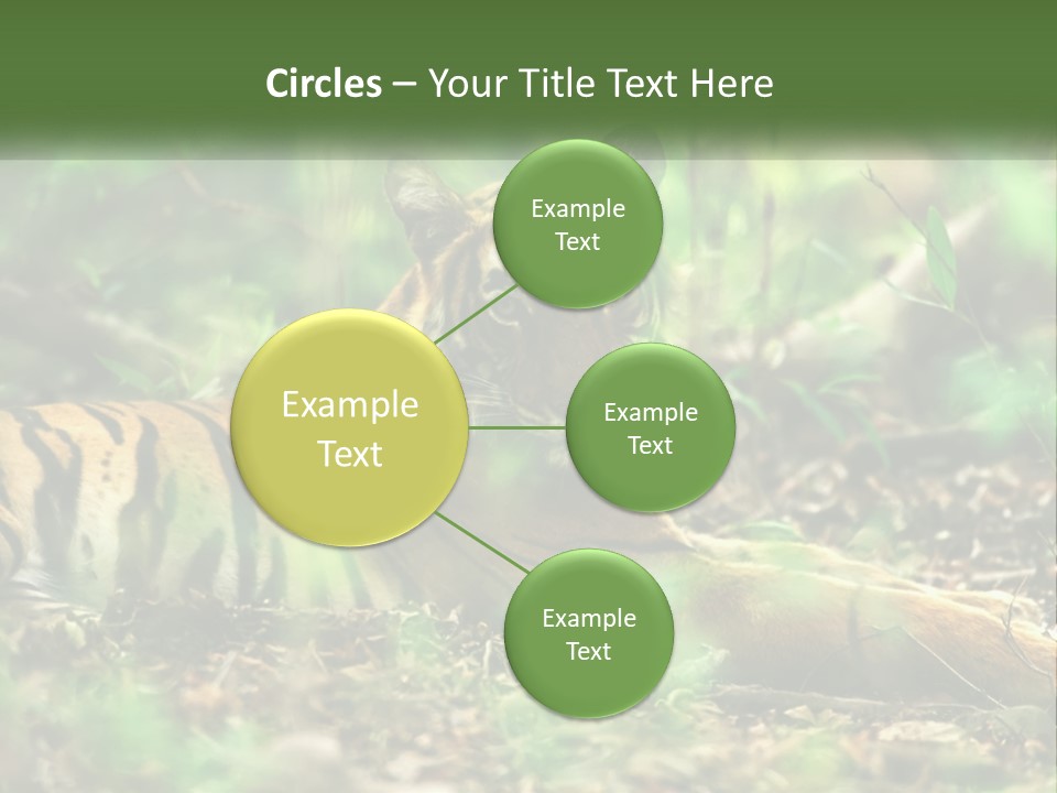 Outdoor Closeup Front PowerPoint Template