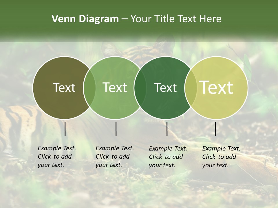 Outdoor Closeup Front PowerPoint Template