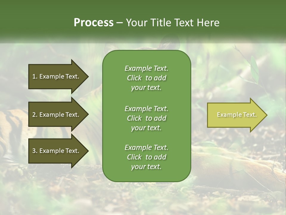 Outdoor Closeup Front PowerPoint Template