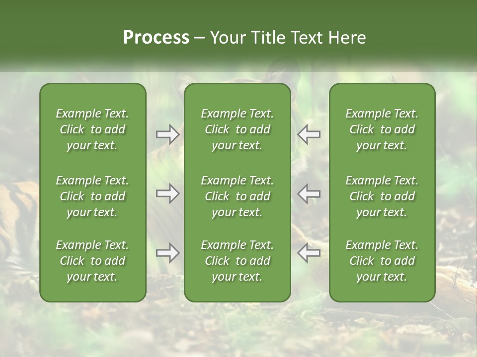 Outdoor Closeup Front PowerPoint Template