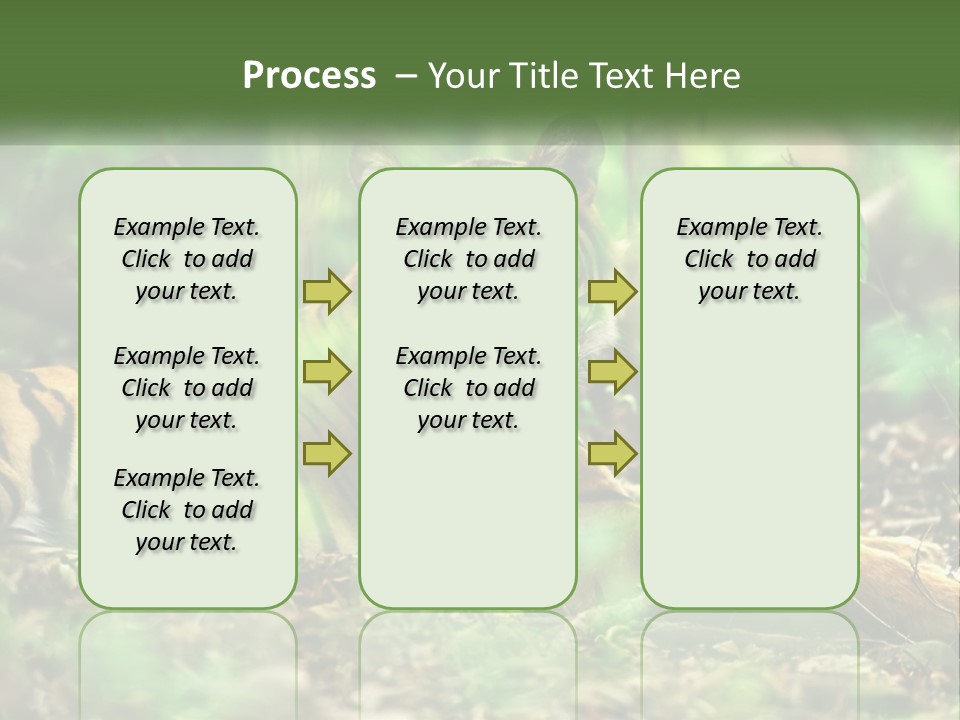 Outdoor Closeup Front PowerPoint Template