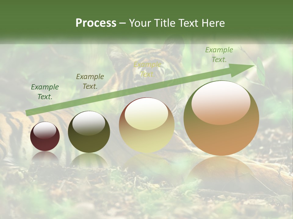 Outdoor Closeup Front PowerPoint Template