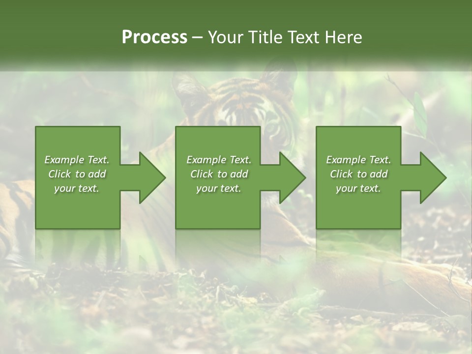 Outdoor Closeup Front PowerPoint Template