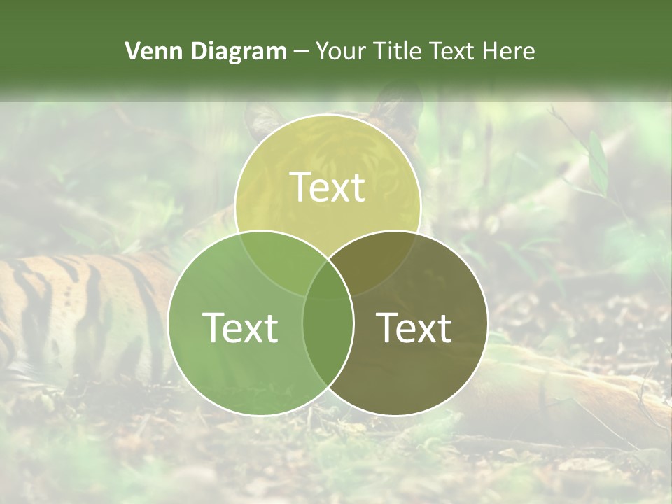 Outdoor Closeup Front PowerPoint Template