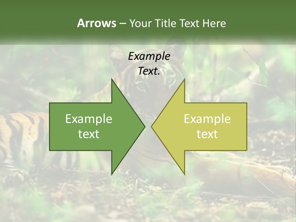 Outdoor Closeup Front PowerPoint Template