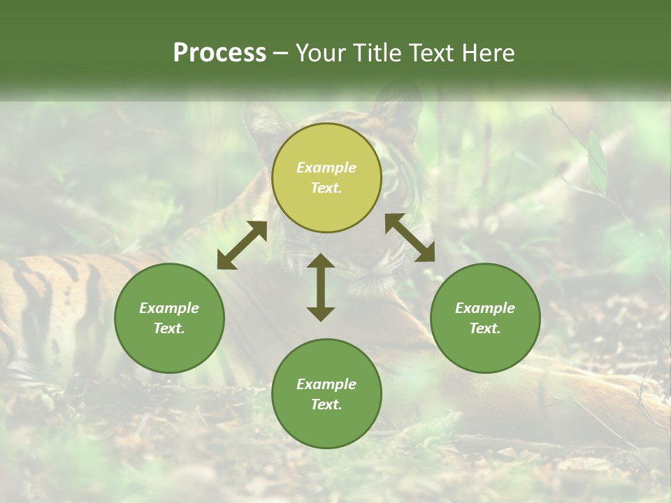 Outdoor Closeup Front PowerPoint Template