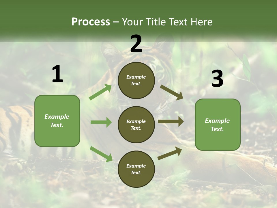 Outdoor Closeup Front PowerPoint Template