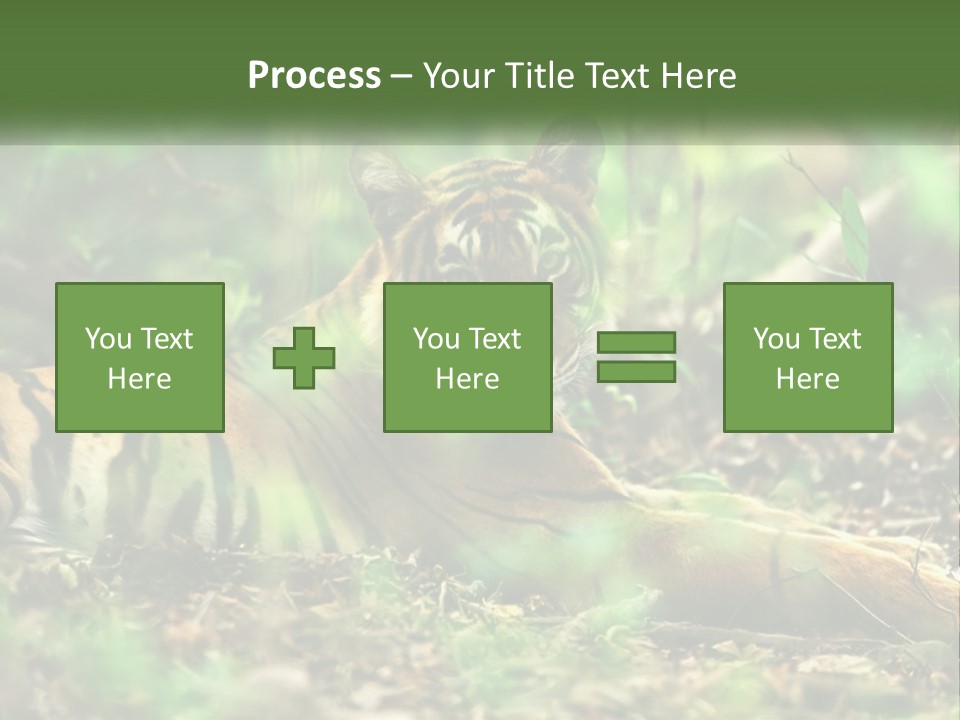Outdoor Closeup Front PowerPoint Template
