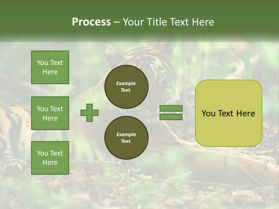 Outdoor Closeup Front PowerPoint Template