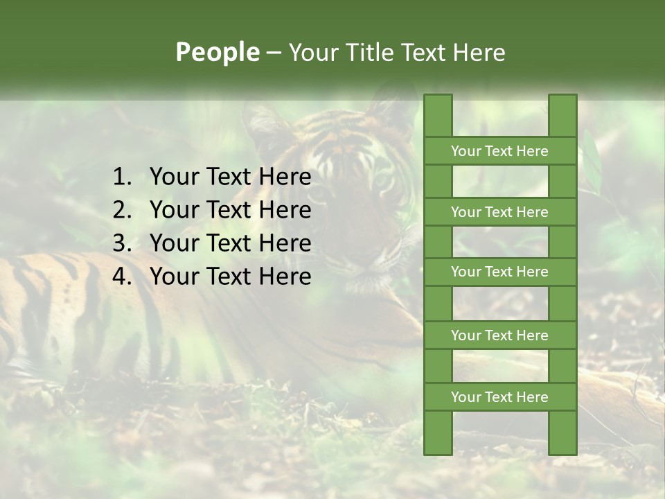 Outdoor Closeup Front PowerPoint Template