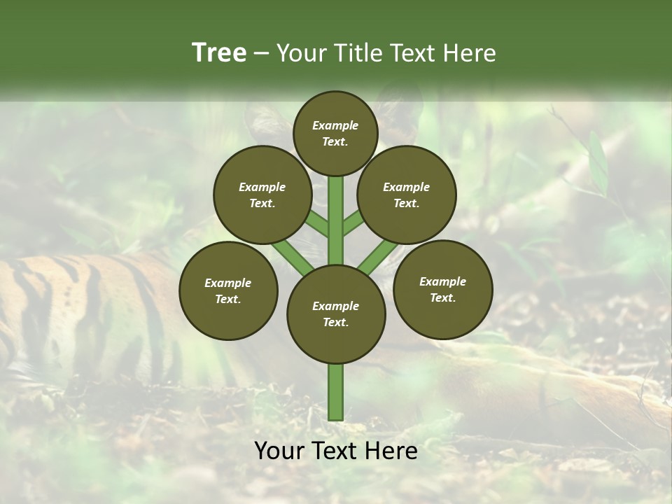 Outdoor Closeup Front PowerPoint Template