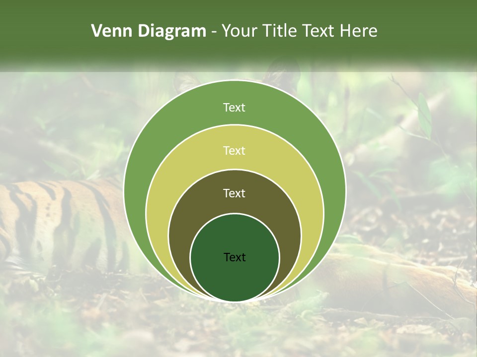 Outdoor Closeup Front PowerPoint Template