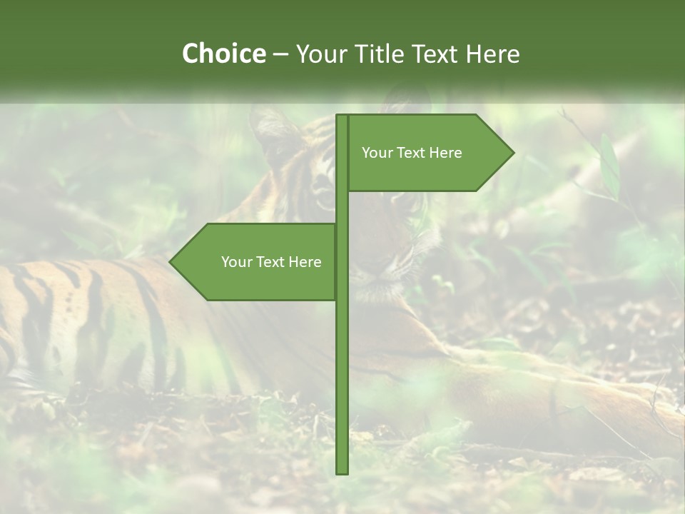 Outdoor Closeup Front PowerPoint Template