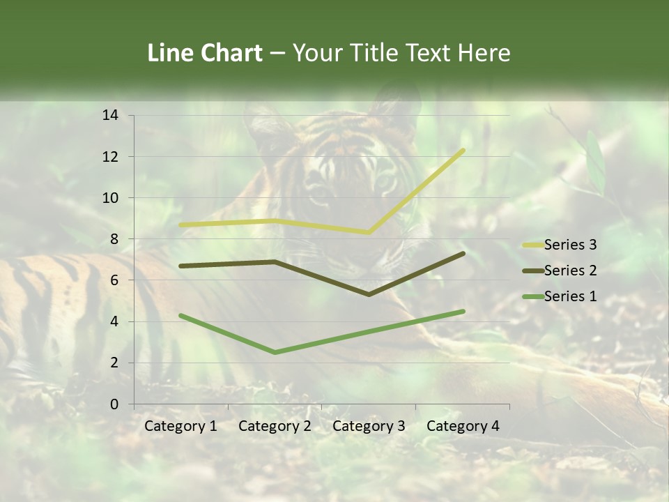 Outdoor Closeup Front PowerPoint Template