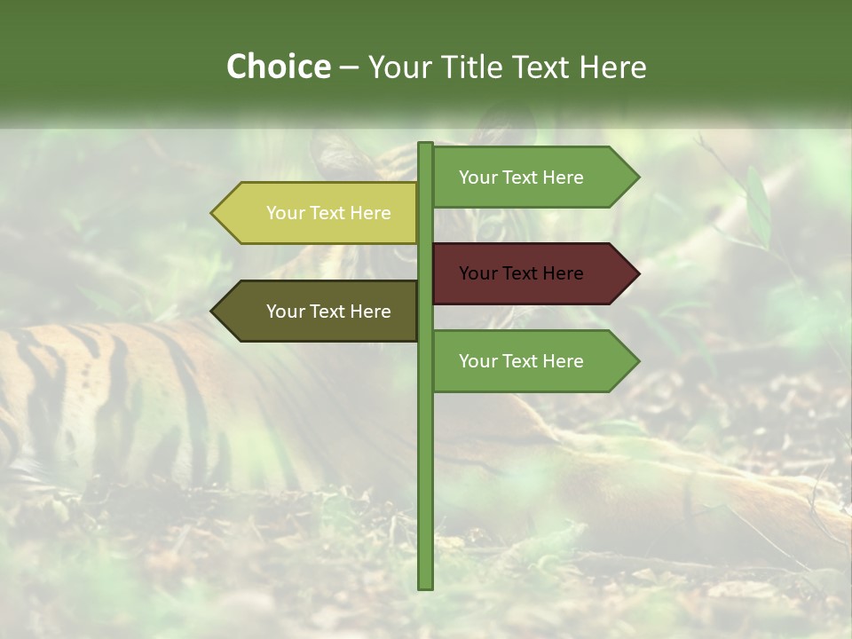 Outdoor Closeup Front PowerPoint Template