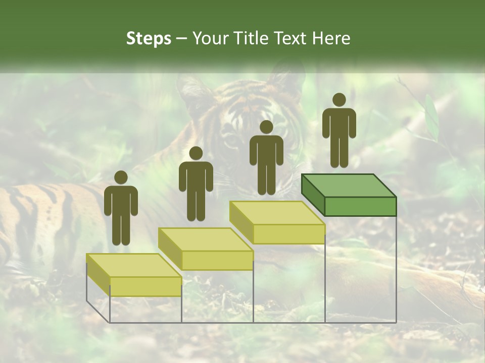 Outdoor Closeup Front PowerPoint Template