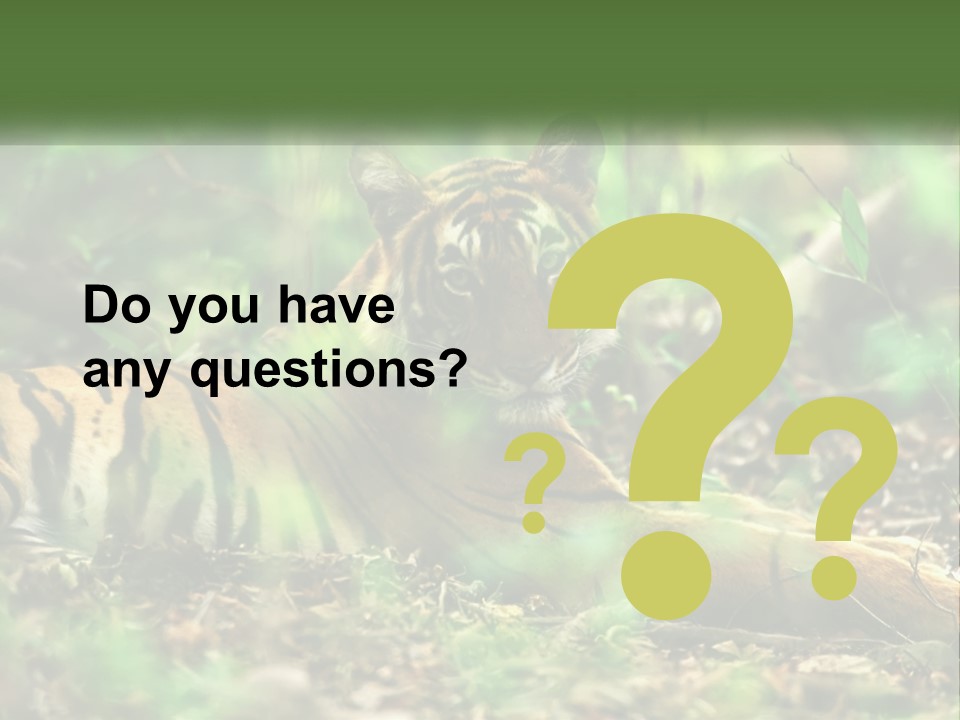 Outdoor Closeup Front PowerPoint Template