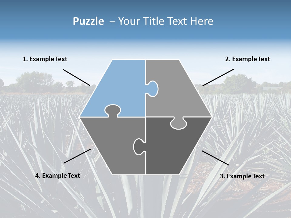 Sky Agriculture Landscape PowerPoint Template