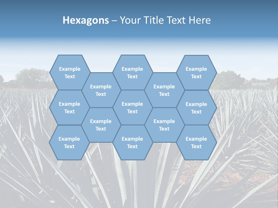 Sky Agriculture Landscape PowerPoint Template