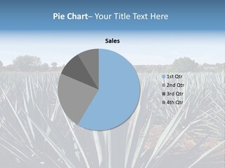 Sky Agriculture Landscape PowerPoint Template