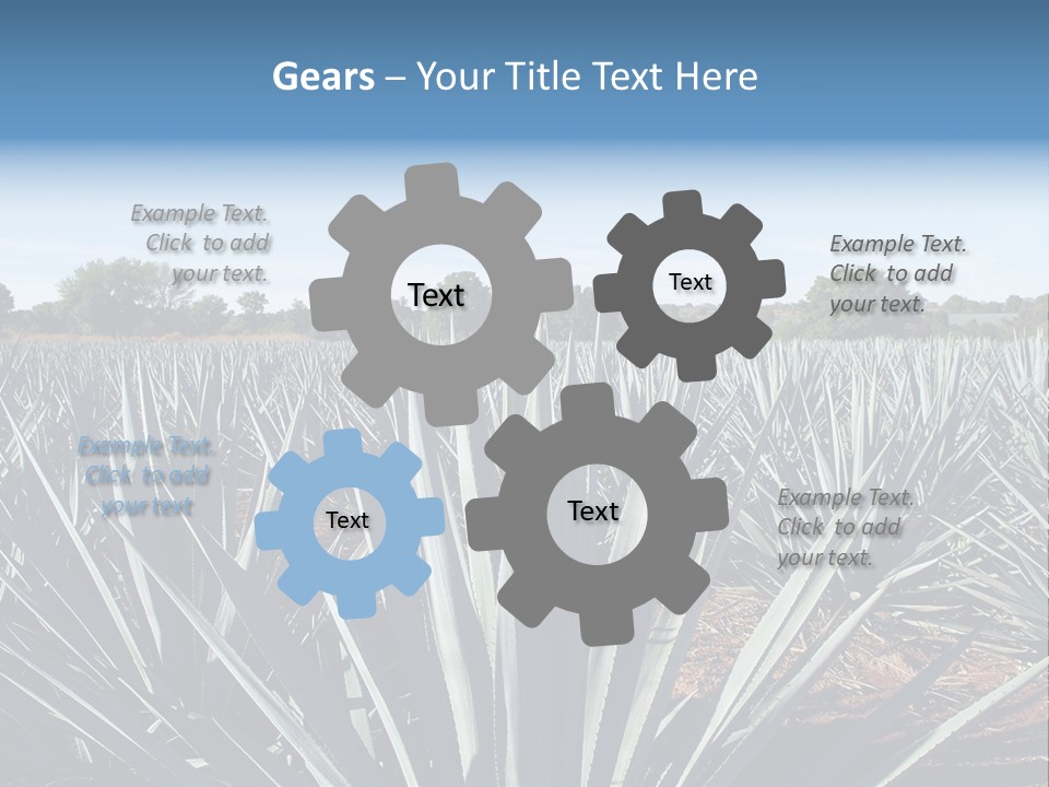 Sky Agriculture Landscape PowerPoint Template