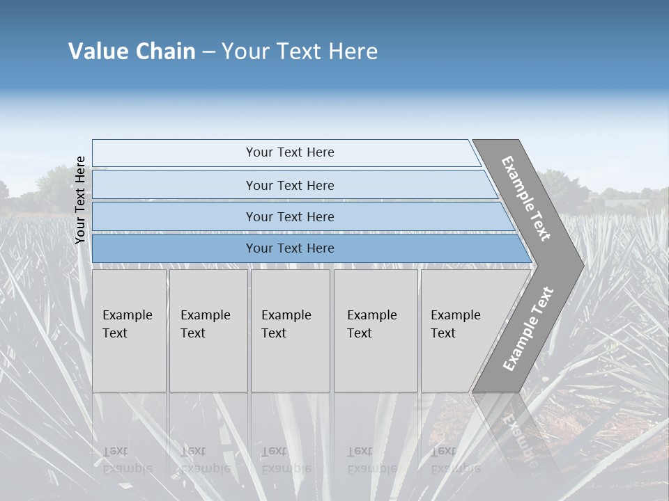 Sky Agriculture Landscape PowerPoint Template