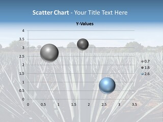 Sky Agriculture Landscape PowerPoint Template