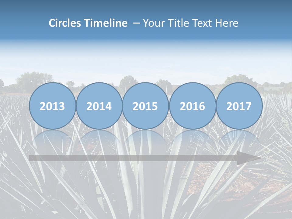 Sky Agriculture Landscape PowerPoint Template