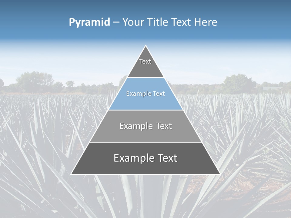 Sky Agriculture Landscape PowerPoint Template