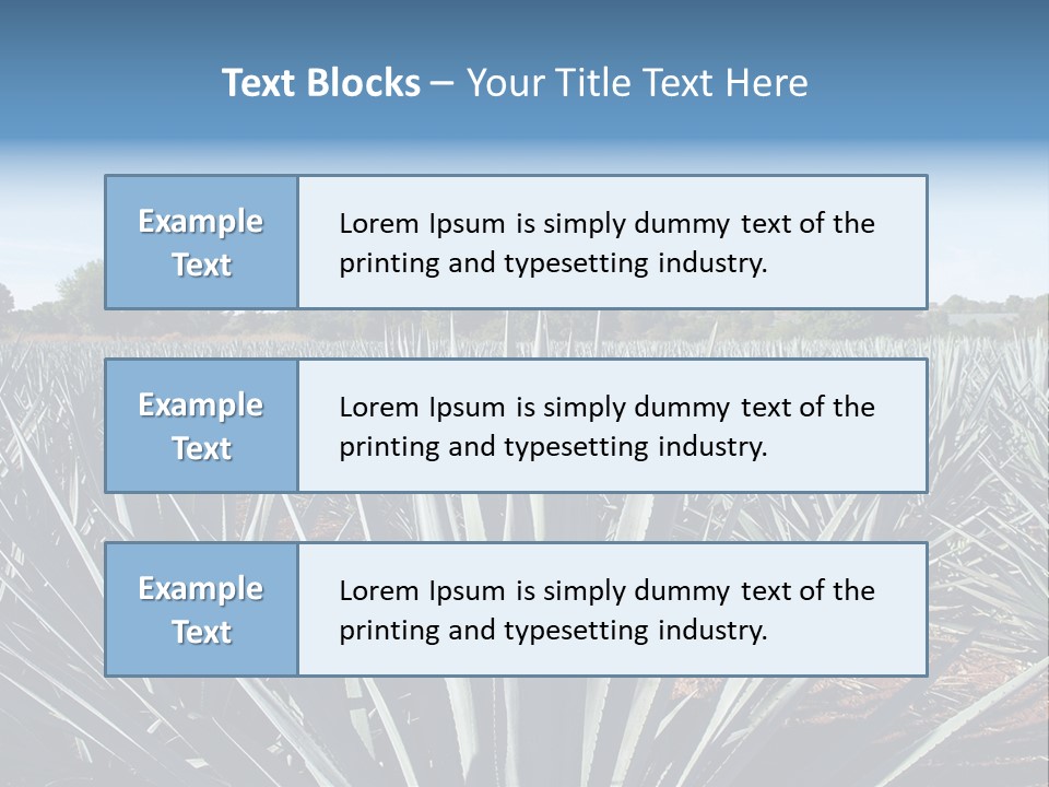 Sky Agriculture Landscape PowerPoint Template