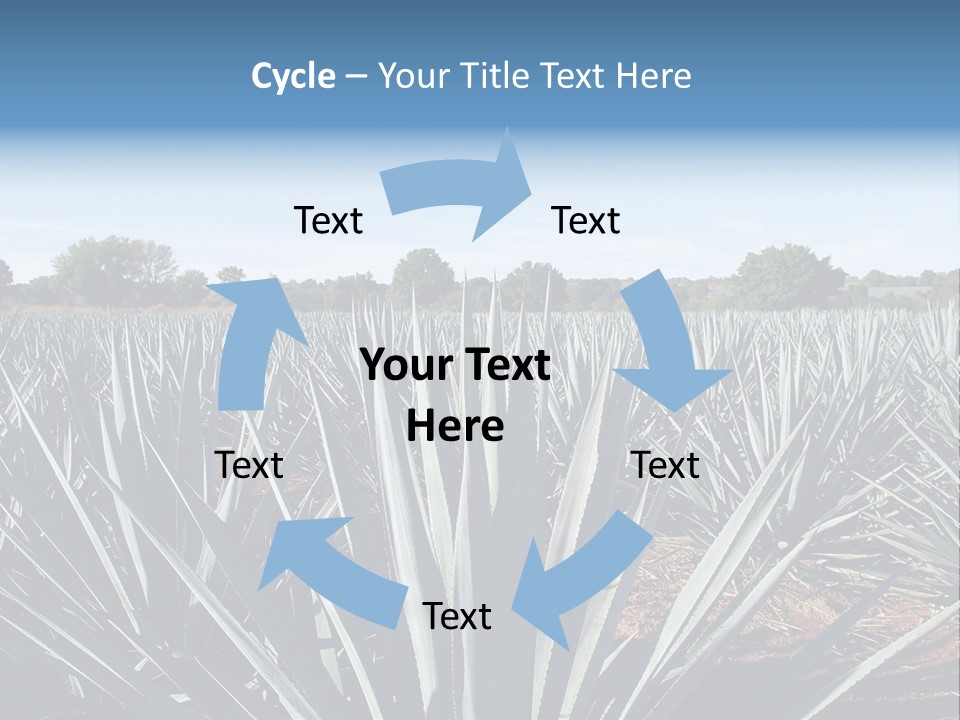 Sky Agriculture Landscape PowerPoint Template