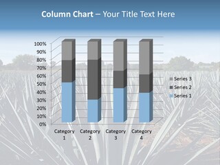 Sky Agriculture Landscape PowerPoint Template